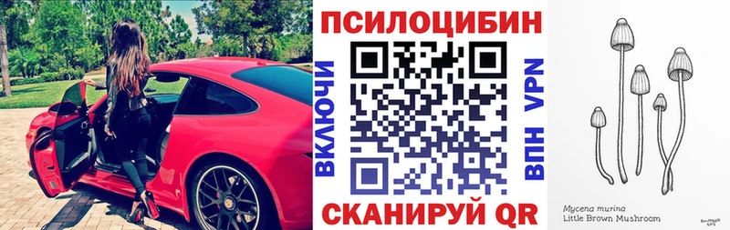купить наркотики цена  Ивантеевка  Галлюциногенные грибы Psilocybine cubensis 